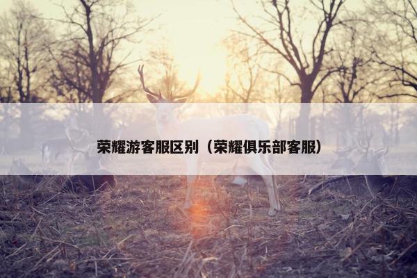荣耀游客服区别（荣耀俱乐部客服）