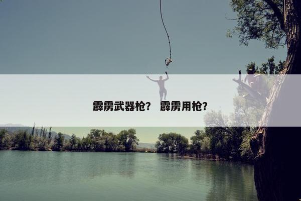 霹雳武器枪？ 霹雳用枪？