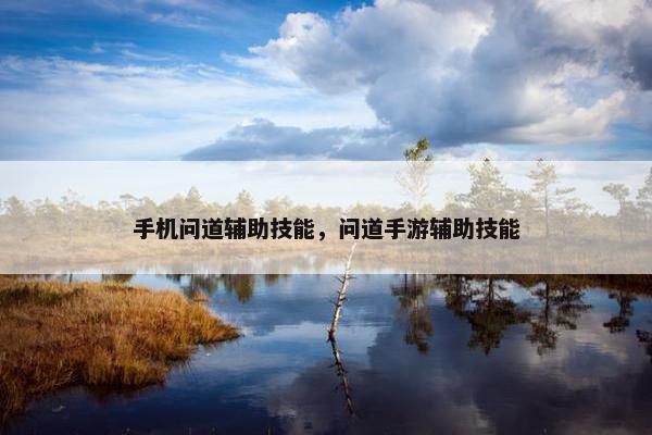 手机问道辅助技能，问道手游辅助技能