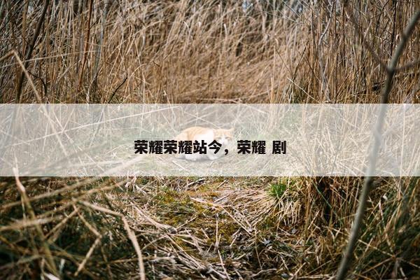 荣耀荣耀站今，荣耀 剧