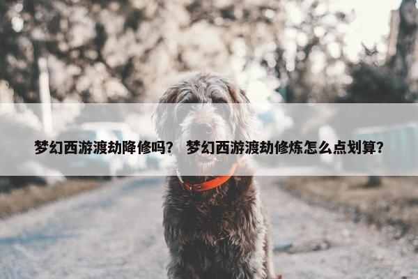 梦幻西游渡劫降修吗？ 梦幻西游渡劫修炼怎么点划算？