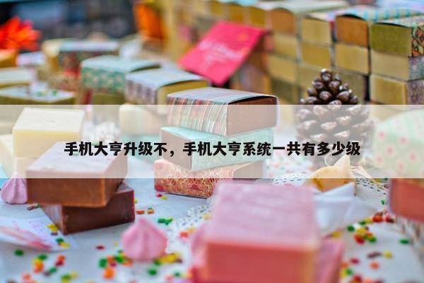 手机大亨升级不，手机大亨系统一共有多少级