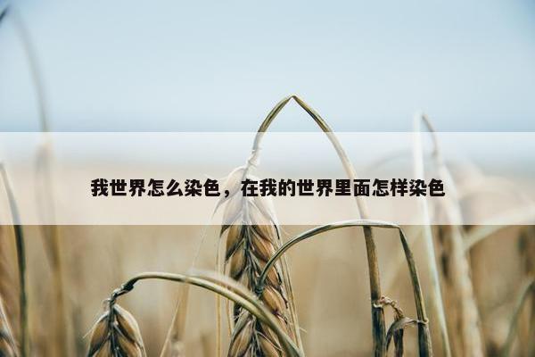 我世界怎么染色，在我的世界里面怎样染色