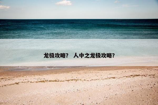 龙极攻略？ 人中之龙极攻略？