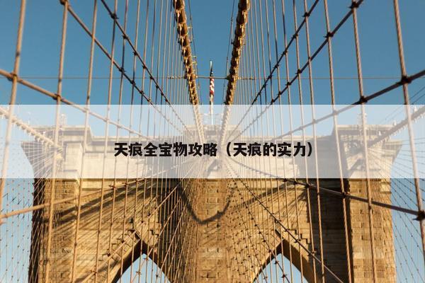 天痕全宝物攻略（天痕的实力）