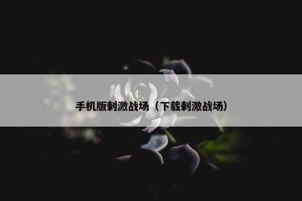 手机版剌激战场（下载剌激战场）