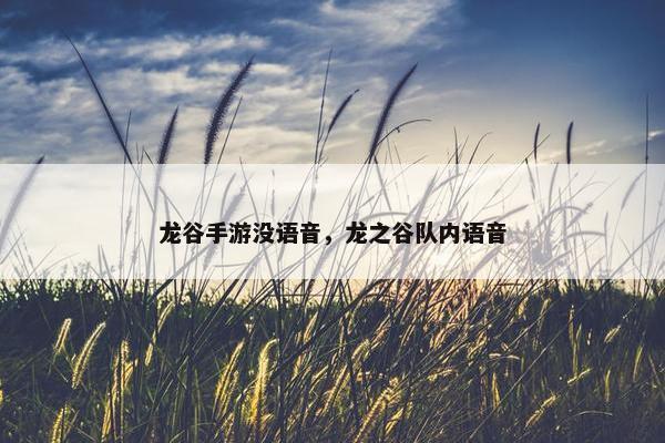 龙谷手游没语音，龙之谷队内语音