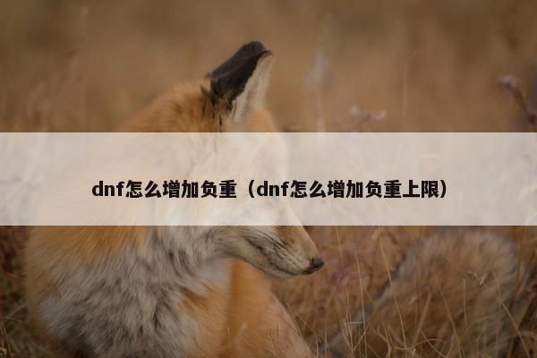 dnf怎么增加负重（dnf怎么增加负重上限）