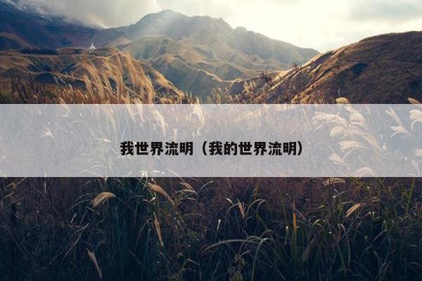 我世界流明（我的世界流明）