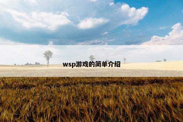 wsp游戏的简单介绍