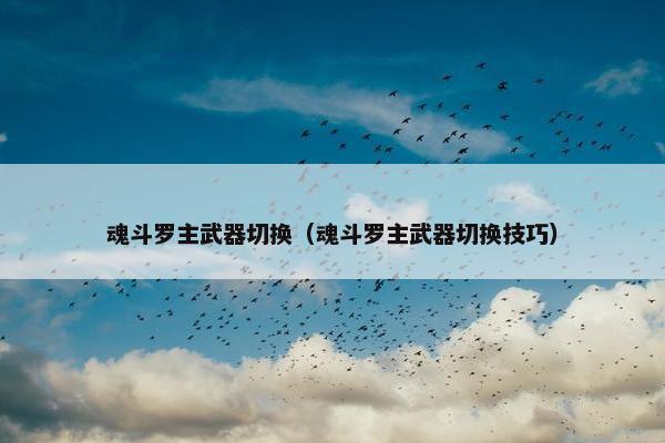 魂斗罗主武器切换（魂斗罗主武器切换技巧）