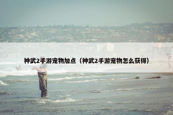 神武2手游宠物加点（神武2手游宠物怎么获得）