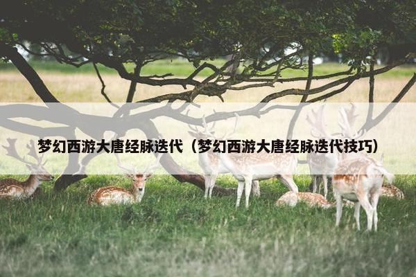 梦幻西游大唐经脉迭代（梦幻西游大唐经脉迭代技巧）