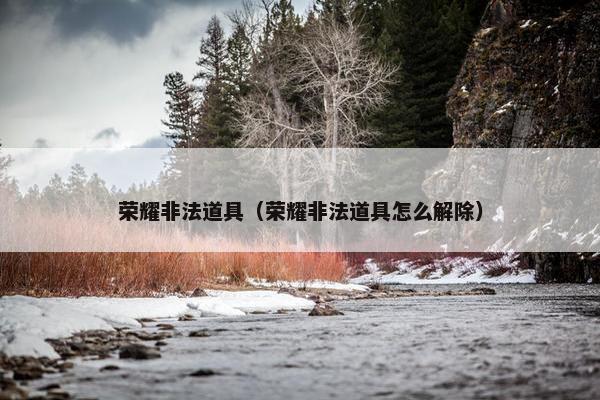 荣耀非法道具（荣耀非法道具怎么解除）
