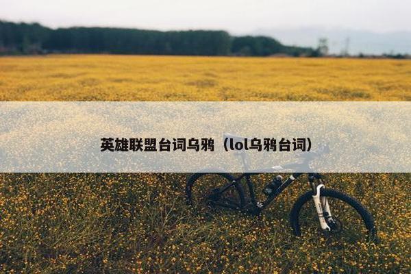 英雄联盟台词乌鸦（lol乌鸦台词）
