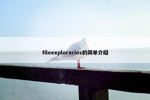 fileexplorerios的简单介绍