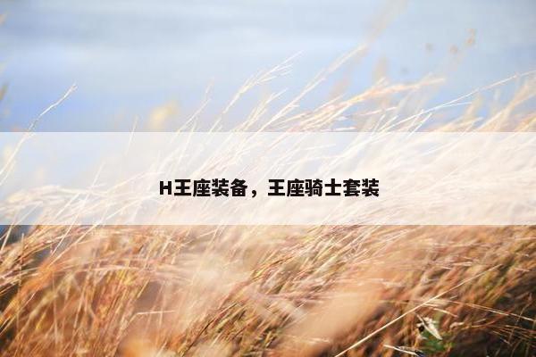H王座装备，王座骑士套装