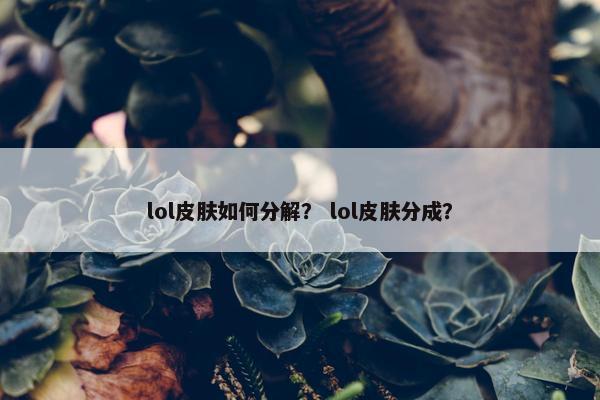 lol皮肤如何分解？ lol皮肤分成？