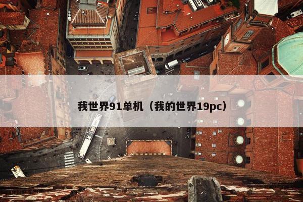 我世界91单机（我的世界19pc）