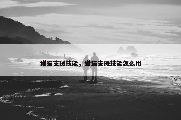 猎猫支援技能，猎猫支援技能怎么用