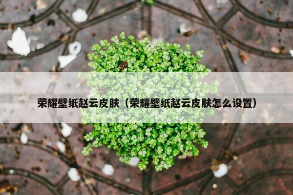 荣耀壁纸赵云皮肤（荣耀壁纸赵云皮肤怎么设置）