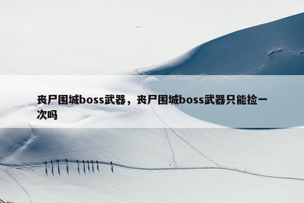 丧尸围城boss武器，丧尸围城boss武器只能捡一次吗