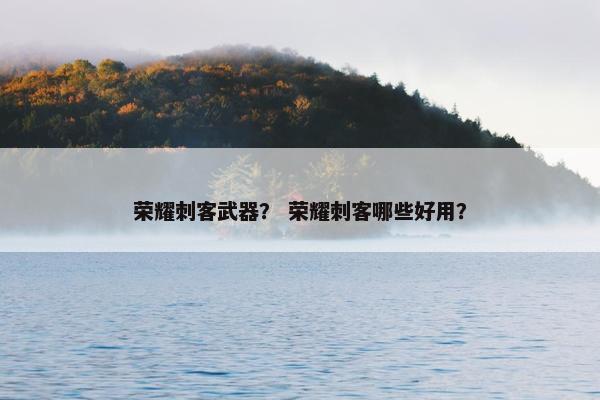 荣耀刺客武器？ 荣耀刺客哪些好用？