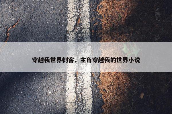 穿越我世界刺客，主角穿越我的世界小说