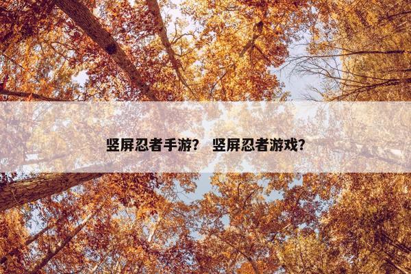 竖屏忍者手游？ 竖屏忍者游戏？
