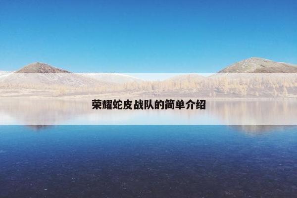 荣耀蛇皮战队的简单介绍