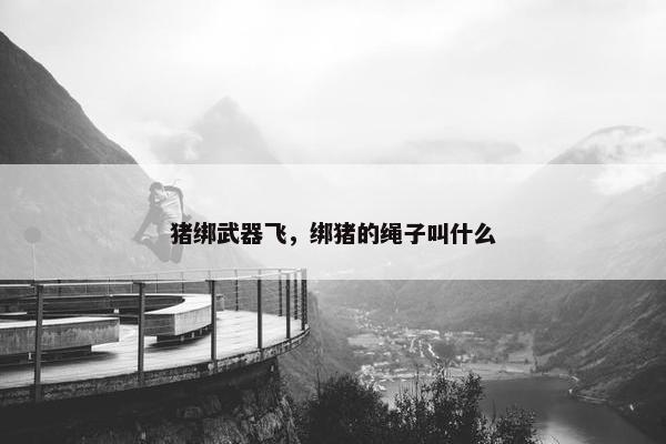 猪绑武器飞，绑猪的绳子叫什么