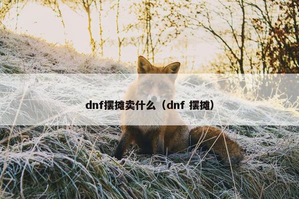 dnf摆摊卖什么（dnf 摆摊）