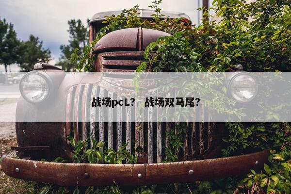 战场pcL？ 战场双马尾？