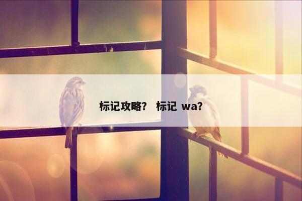 标记攻略？ 标记 wa？