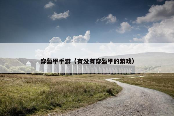 穿盔甲手游（有没有穿盔甲的游戏）