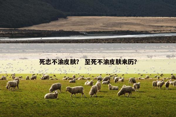 死志不渝皮肤？ 至死不渝皮肤来历？