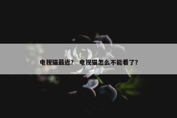 电视猫最近？ 电视猫怎么不能看了？