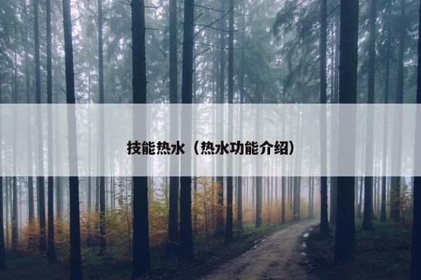 技能热水（热水功能介绍）