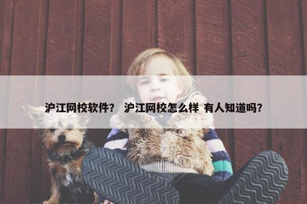 沪江网校软件？ 沪江网校怎么样 有人知道吗？