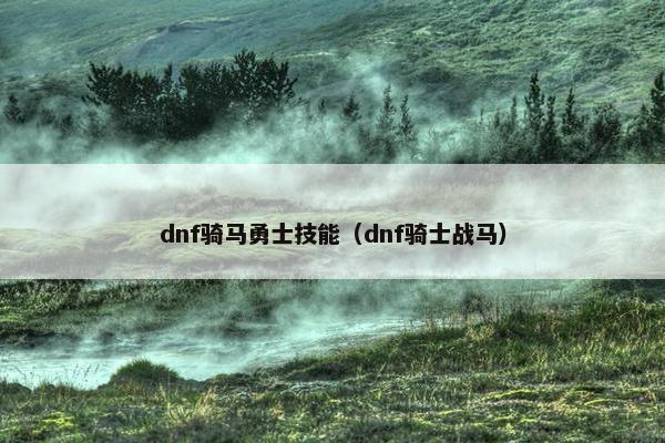 dnf骑马勇士技能（dnf骑士战马）