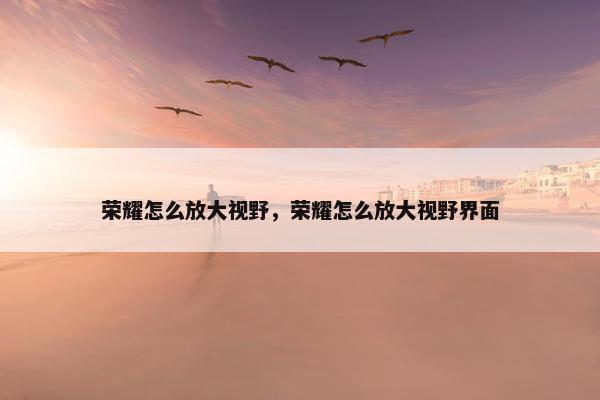 荣耀怎么放大视野，荣耀怎么放大视野界面