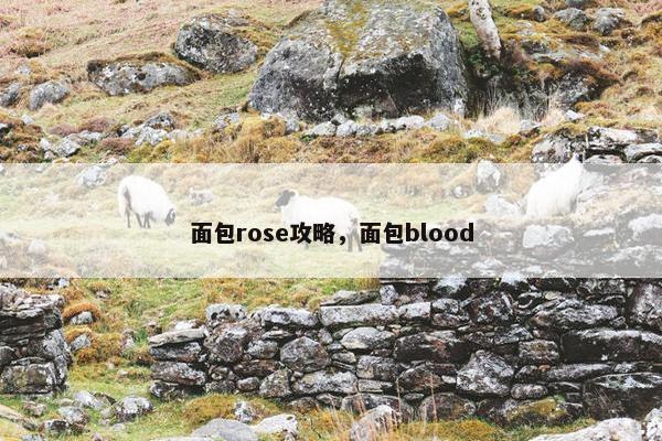 面包rose攻略，面包blood