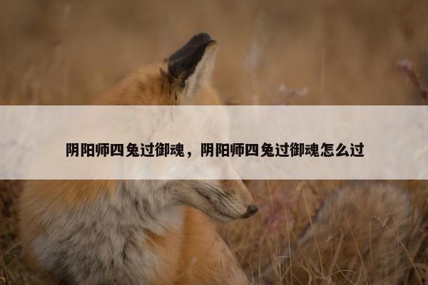 阴阳师四兔过御魂，阴阳师四兔过御魂怎么过