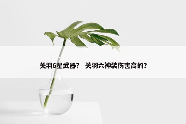 关羽6星武器？ 关羽六神装伤害高的？
