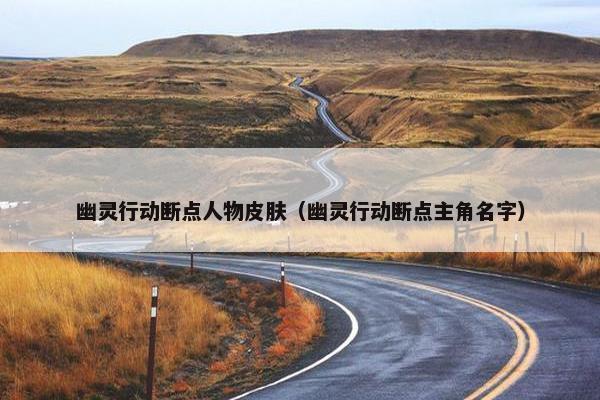 幽灵行动断点人物皮肤（幽灵行动断点主角名字）