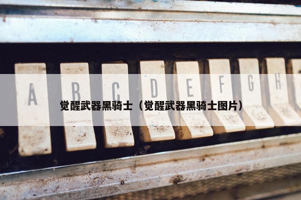 觉醒武器黑骑士（觉醒武器黑骑士图片）