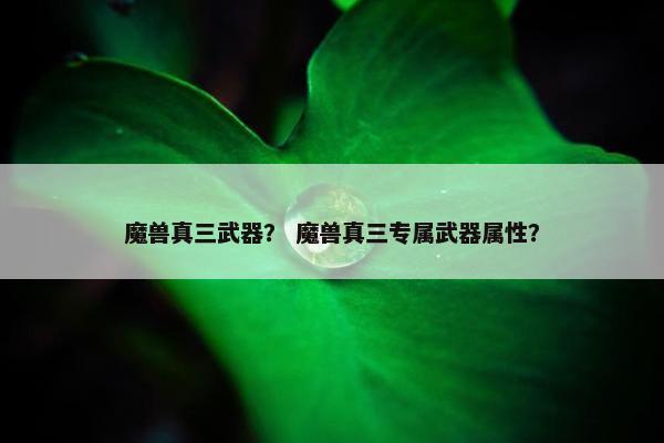 魔兽真三武器？ 魔兽真三专属武器属性？