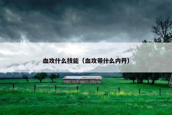 血攻什么技能（血攻带什么内丹）
