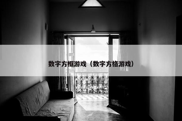 数字方框游戏（数字方格游戏）