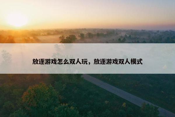 放逐游戏怎么双人玩，放逐游戏双人模式